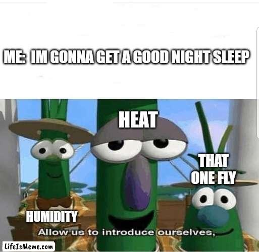 Summer exhaustion and torture |  ME:  IM GONNA GET A GOOD NIGHT SLEEP; HEAT; THAT ONE FLY; HUMIDITY | image tagged in allow us to introduce ourselves,memes | made w/ Lifeismeme meme maker