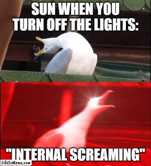 sun memes |  SUN WHEN YOU TURN OFF THE LIGHTS:; "INTERNAL SCREAMING" | image tagged in screaming bird | made w/ Lifeismeme meme maker