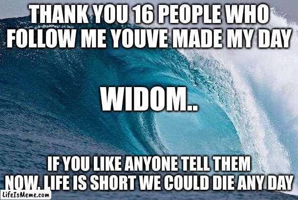 do it |  THANK YOU 16 PEOPLE WHO FOLLOW ME YOUVE MADE MY DAY; WIDOM.. IF YOU LIKE ANYONE TELL THEM NOW, LIFE IS SHORT WE COULD DIE ANY DAY | image tagged in do it | made w/ Lifeismeme meme maker