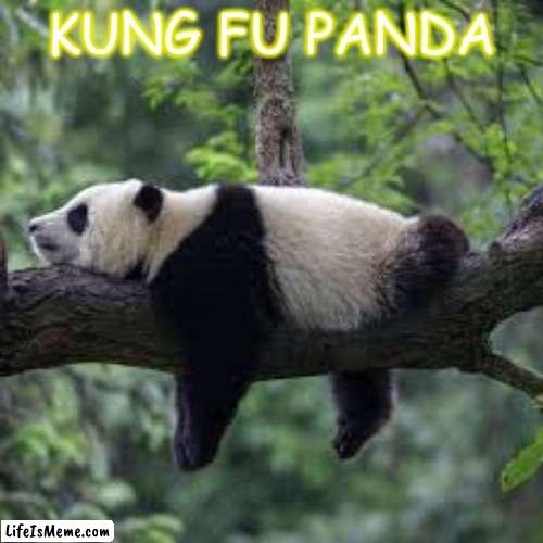 Po |  KUNG FU PANDA | image tagged in panda | made w/ Lifeismeme meme maker