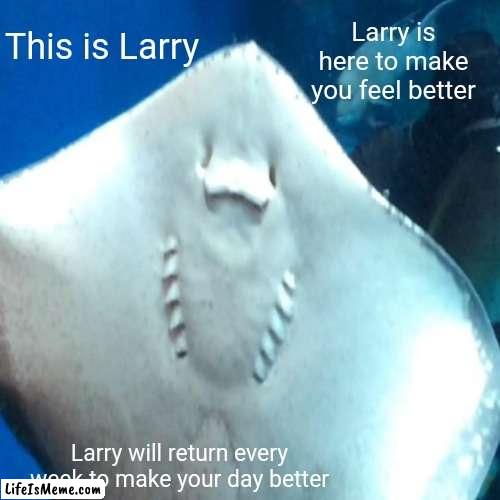 Say hi to Larry :) |  This is Larry; Larry is here to make you feel better; Larry will return every week to make your day better | image tagged in cute | made w/ Lifeismeme meme maker