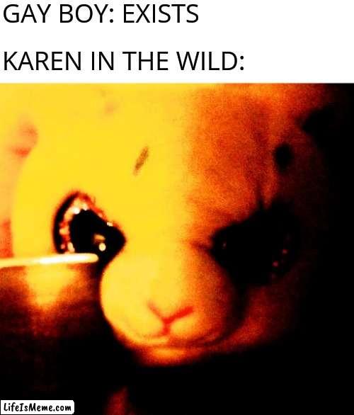 Bunny with a Knife Meme |  GAY BOY: EXISTS; KAREN IN THE WILD: | image tagged in bunny with a knife,memes,karens | made w/ Lifeismeme meme maker