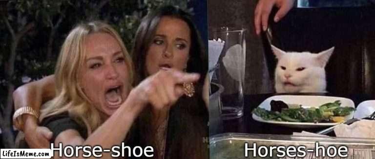 Horseshoe |  Horse-shoe; Horses-hoe | image tagged in woman yelling at cat | made w/ Lifeismeme meme maker