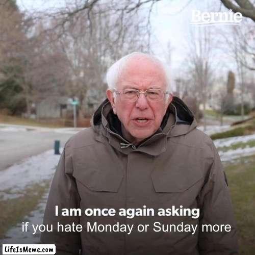 I wanna know |  if you hate Monday or Sunday more | image tagged in memes,bernie i am once again asking for your support,monday,sunday,school | made w/ Lifeismeme meme maker