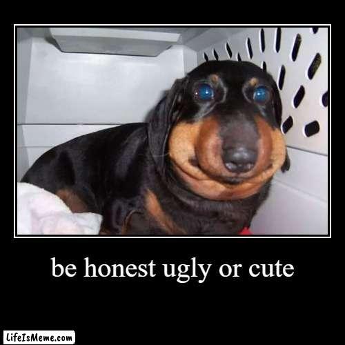 be honest ? | be honest ugly or cute | | image tagged in funny,demotivationals | made w/ Lifeismeme demotivational maker