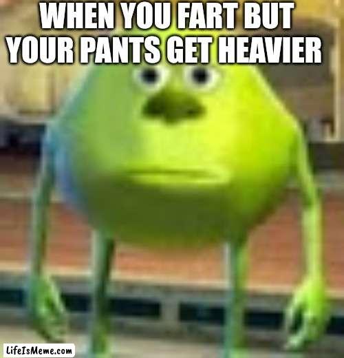 oh no.... |  WHEN YOU FART BUT YOUR PANTS GET HEAVIER | image tagged in sully wazowski,oh no,funny memes,funny,memes,lol | made w/ Lifeismeme meme maker