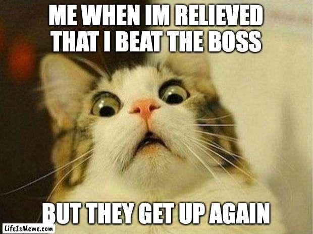 It just had to didn't it |  ME WHEN IM RELIEVED THAT I BEAT THE BOSS; BUT THEY GET UP AGAIN | image tagged in memes,scared cat | made w/ Lifeismeme meme maker