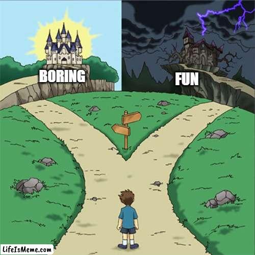 Two Paths |  BORING; FUN | image tagged in two paths | made w/ Lifeismeme meme maker