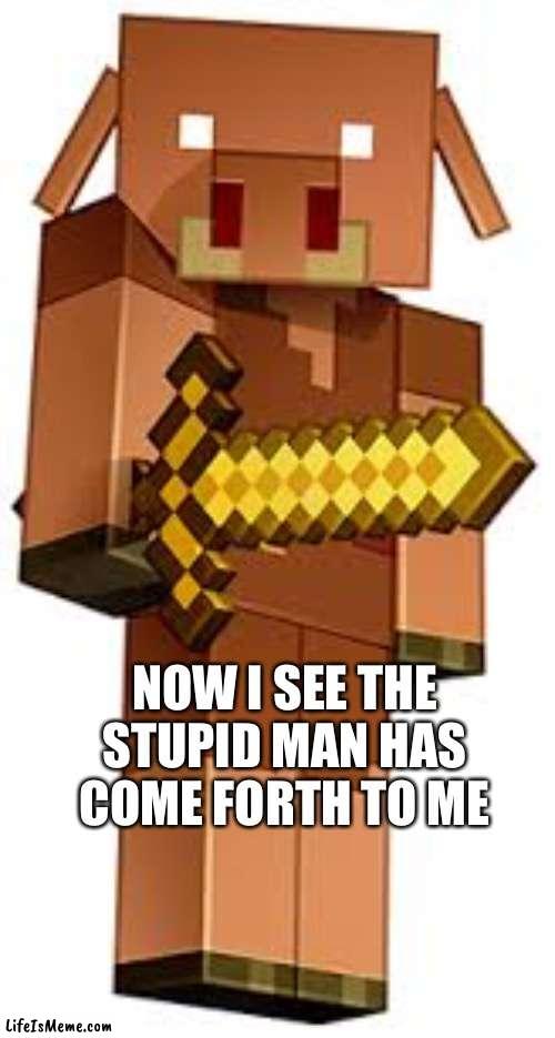 New meme template |  NOW I SEE THE STUPID MAN HAS COME FORTH TO ME | image tagged in minecraft | made w/ Lifeismeme meme maker