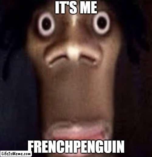 You thought I was done? |  IT'S ME; FRENCHPENGUIN | image tagged in quandale dingle | made w/ Lifeismeme meme maker