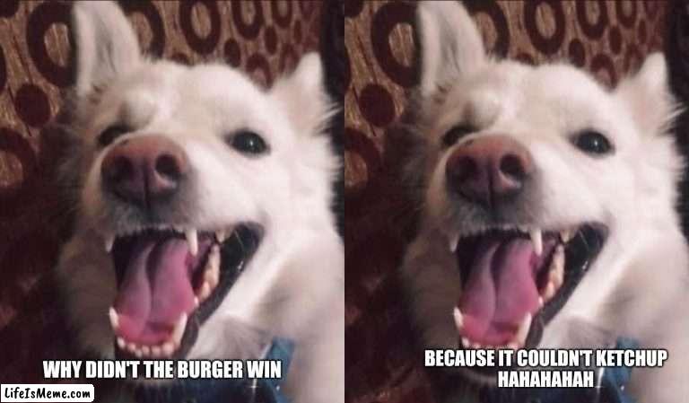 Doge hehe |  BECAUSE IT COULDN'T KETCHUP
HAHAHAHAH; WHY DIDN'T THE BURGER WIN | image tagged in bad pun dog,dad joke dog,doge,hehe,hehe boi,meme | made w/ Lifeismeme meme maker