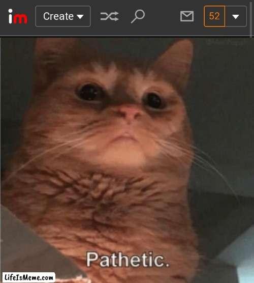 norify me if anyone comments in a image already commented monent | image tagged in pathetic cat,imgflip | made w/ Lifeismeme meme maker