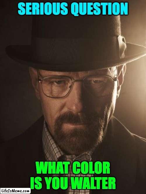 What color is your walter? |  SERIOUS QUESTION; WHAT COLOR IS YOU WALTER | image tagged in walter white | made w/ Lifeismeme meme maker