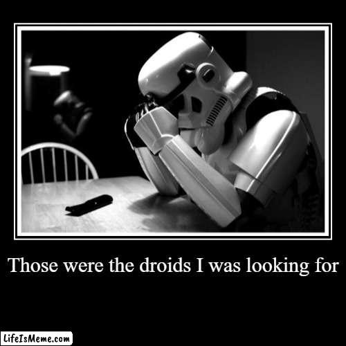 demotivational poster | Those were the droids I was looking for | | image tagged in funny,demotivationals,star wars,stormtrooper | made w/ Lifeismeme demotivational maker