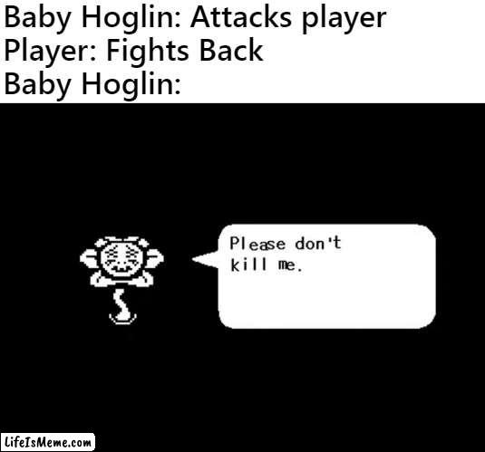 *Kills.mp4* |  Baby Hoglin: Attacks player
Player: Fights Back
Baby Hoglin: | image tagged in please don't kill me,flowey,undertale,minecraft,hoglin | made w/ Lifeismeme meme maker