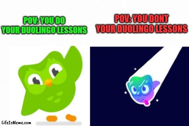 duoligo bird can become super duoling?!?!?!?!? |  POV: YOU DONT YOUR DUOLINGO LESSONS; POV: YOU DO YOUR DUOLINGO LESSONS | image tagged in duolingo bird | made w/ Lifeismeme meme maker