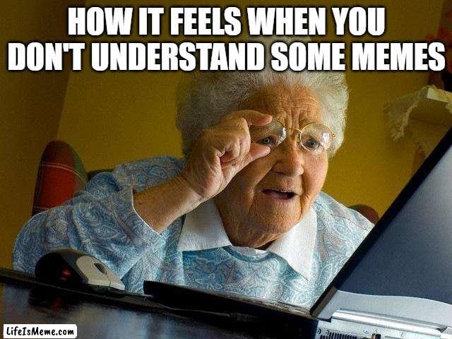 free Booza |  HOW IT FEELS WHEN YOU DON'T UNDERSTAND SOME MEMES | image tagged in memes,grandma finds the internet | made w/ Lifeismeme meme maker
