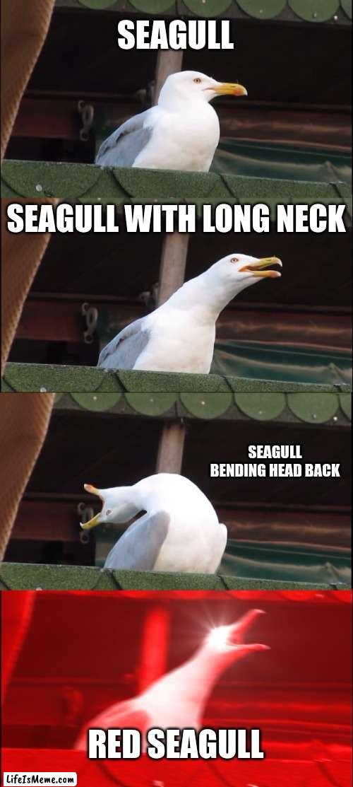 Antimeme |  SEAGULL; SEAGULL WITH LONG NECK; SEAGULL BENDING HEAD BACK; RED SEAGULL | image tagged in memes,inhaling seagull | made w/ Lifeismeme meme maker