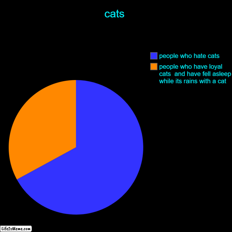 Cats | cats | people who have loyal cats  and have fell asleep while its rains with a cat, people who hate cats | image tagged in charts,pie charts | made w/ Lifeismeme chart maker