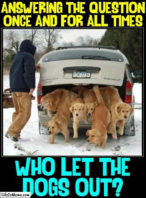 Now you know… the rest of the story. |  ANSWERING THE QUESTION ONCE AND FOR ALL TIMES; WHO LET THE
DOGS OUT? | image tagged in vince vance,dogs,memes,who let the dogs out,labrador,golden retriever | made w/ Lifeismeme meme maker