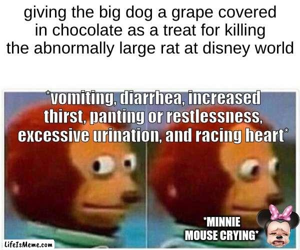 poor mickey |  giving the big dog a grape covered in chocolate as a treat for killing the abnormally large rat at disney world; *vomiting, diarrhea, increased thirst, panting or restlessness, excessive urination, and racing heart*; *MINNIE MOUSE CRYING* | image tagged in memes,monkey puppet,goofy,minnie mouse,disney world,mickey mouse | made w/ Lifeismeme meme maker