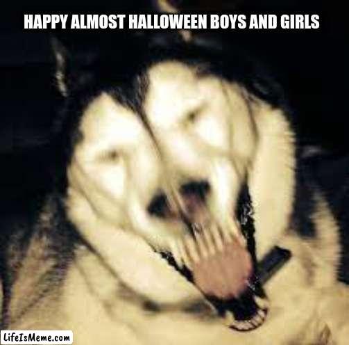Happy almost Halloween |  HAPPY ALMOST HALLOWEEN BOYS AND GIRLS | image tagged in scary husky,halloween | made w/ Lifeismeme meme maker