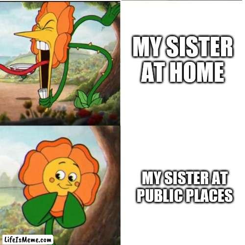 Memes By Amaan |  MY SISTER AT HOME; MY SISTER AT PUBLIC PLACES | image tagged in cuphead flower,funny memes,memes,funny,fun,trending | made w/ Lifeismeme meme maker