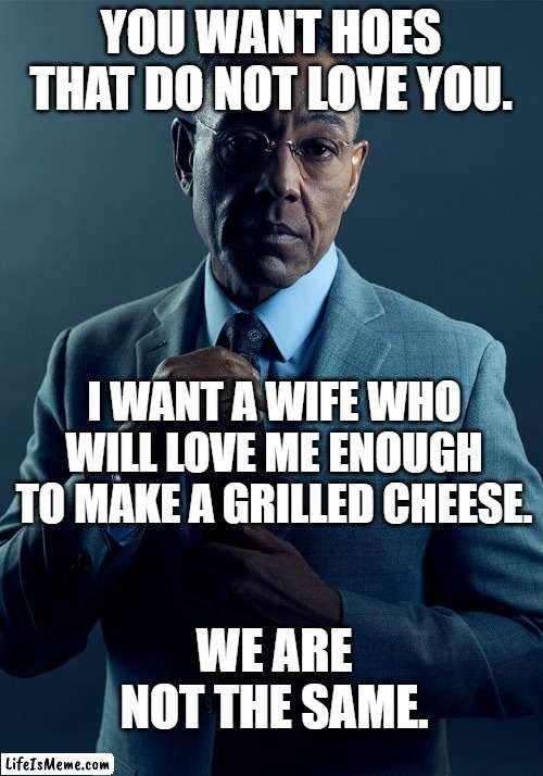 We Are Not The Same. |  YOU WANT HOES THAT DO NOT LOVE YOU. I WANT A WIFE WHO WILL LOVE ME ENOUGH TO MAKE A GRILLED CHEESE. WE ARE NOT THE SAME. | image tagged in gus fring we are not the same | made w/ Lifeismeme meme maker