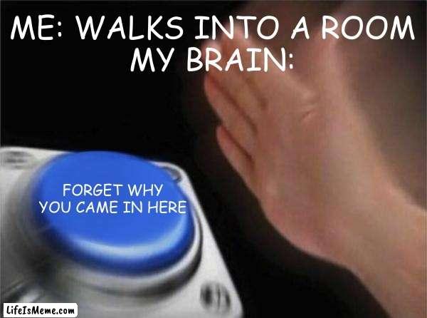 Happens every time |  ME: WALKS INTO A ROOM
MY BRAIN:; FORGET WHY YOU CAME IN HERE | image tagged in blank nut button,memes | made w/ Lifeismeme meme maker