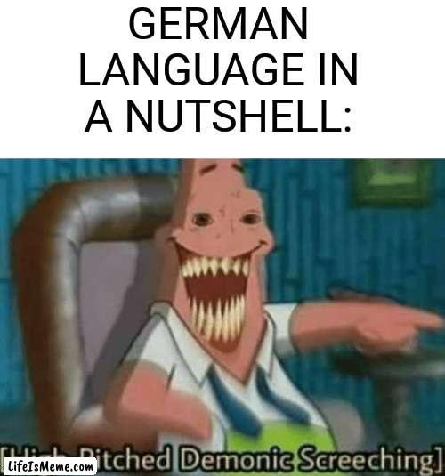 Goofy language |  GERMAN LANGUAGE IN A NUTSHELL: | image tagged in high-pitched demonic screeching,memes,oh wow are you actually reading these tags | made w/ Lifeismeme meme maker