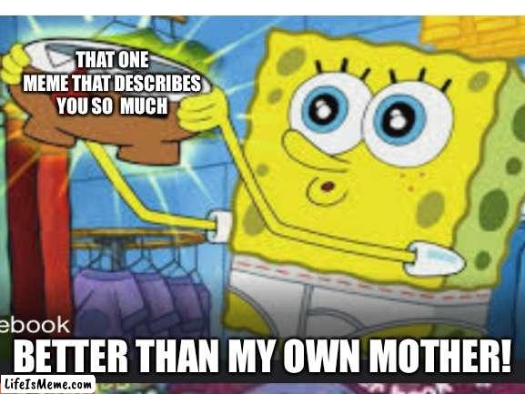 Don’t search this up as a template I made it myself |  THAT ONE MEME THAT DESCRIBES YOU SO  MUCH; BETTER THAN MY OWN MOTHER! | image tagged in so true memes | made w/ Lifeismeme meme maker