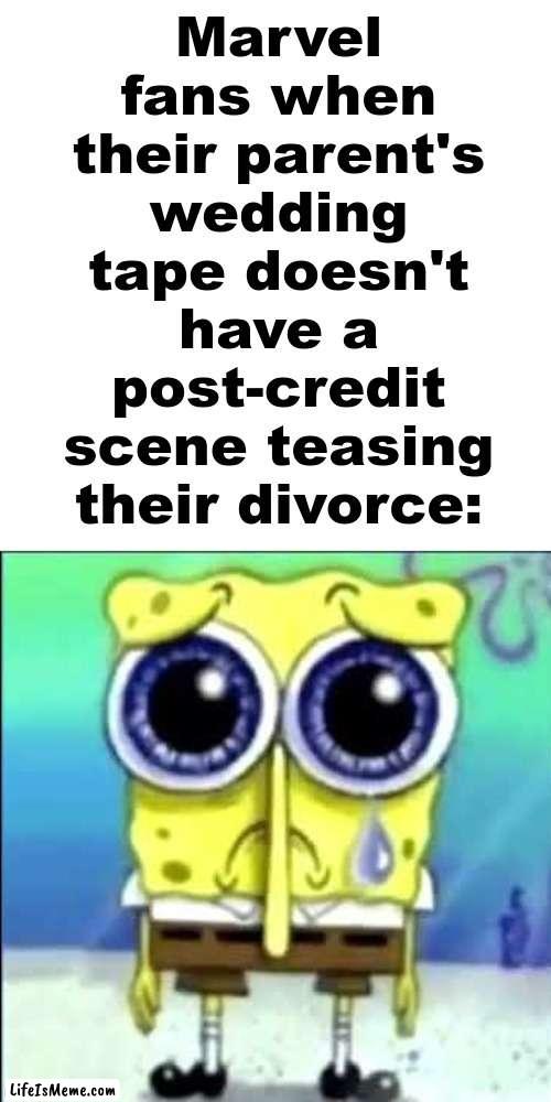 Day Ruined. |  Marvel fans when their parent's wedding tape doesn't have a post-credit scene teasing their divorce: | image tagged in sad spongebob,memes | made w/ Lifeismeme meme maker