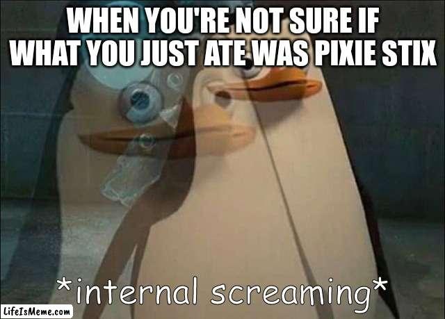 Private Internal Screaming |  WHEN YOU'RE NOT SURE IF WHAT YOU JUST ATE WAS PIXIE STIX | image tagged in private internal screaming | made w/ Lifeismeme meme maker