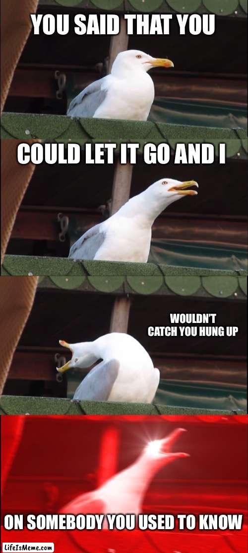 Somebody that I used to know |  YOU SAID THAT YOU; COULD LET IT GO AND I; WOULDN’T CATCH YOU HUNG UP; ON SOMEBODY YOU USED TO KNOW | image tagged in memes,inhaling seagull | made w/ Lifeismeme meme maker