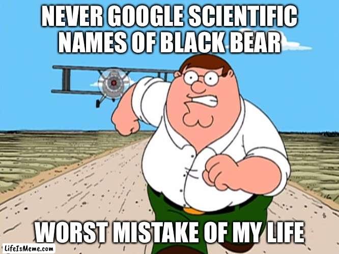 Peter Griffin running away |  NEVER GOOGLE SCIENTIFIC NAMES OF BLACK BEAR; WORST MISTAKE OF MY LIFE | image tagged in peter griffin running away | made w/ Lifeismeme meme maker