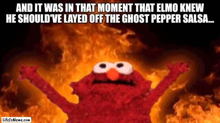 elmo fire |  AND IT WAS IN THAT MOMENT THAT ELMO KNEW HE SHOULD'VE LAYED OFF THE GHOST PEPPER SALSA... | image tagged in elmo fire | made w/ Lifeismeme meme maker