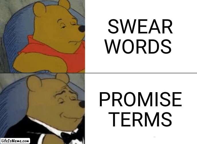 I dont know what to write so.... |  SWEAR WORDS; PROMISE TERMS | image tagged in tuxedo winnie the pooh | made w/ Lifeismeme meme maker