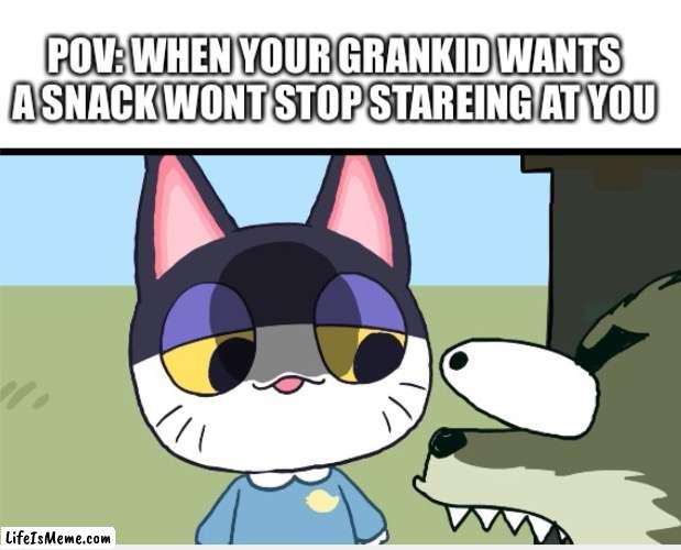 Feed your Kid is Hungry | image tagged in real life,animal crossing,meme,punchy's death stare | made w/ Lifeismeme meme maker