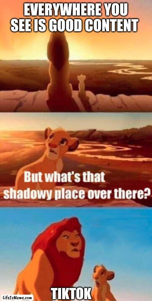 Tik tok bad man even the lion said so |  EVERYWHERE YOU SEE IS GOOD CONTENT; TIKTOK | image tagged in memes,simba shadowy place | made w/ Lifeismeme meme maker