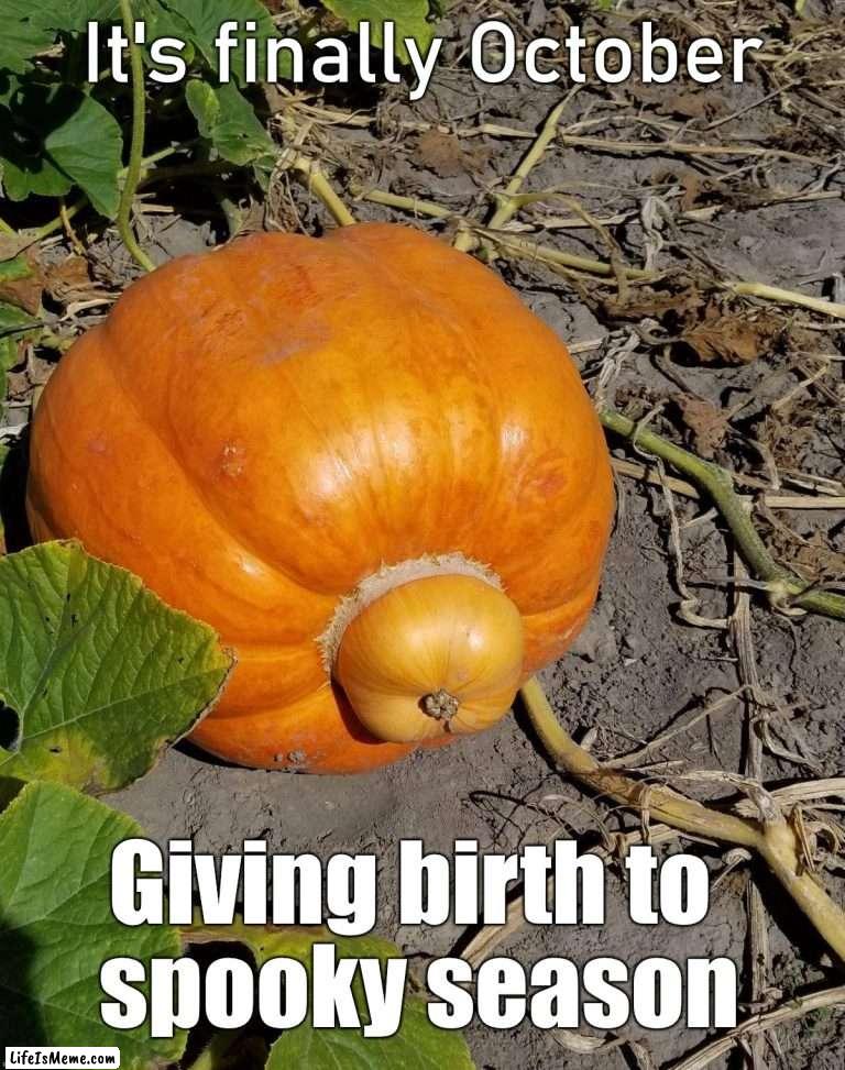 October is finally here, spooky season starts |  It's finally October; Giving birth to 
spooky season | image tagged in spooky month | made w/ Lifeismeme meme maker