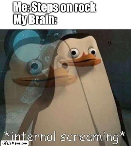 Based on a true story |  Me: Steps on rock            
My Brain: | image tagged in internal screaming,scary | made w/ Lifeismeme meme maker