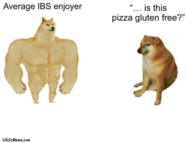 GF GF |  “… is this pizza gluten free?”; Average IBS enjoyer | image tagged in memes,buff doge vs cheems | made w/ Lifeismeme meme maker