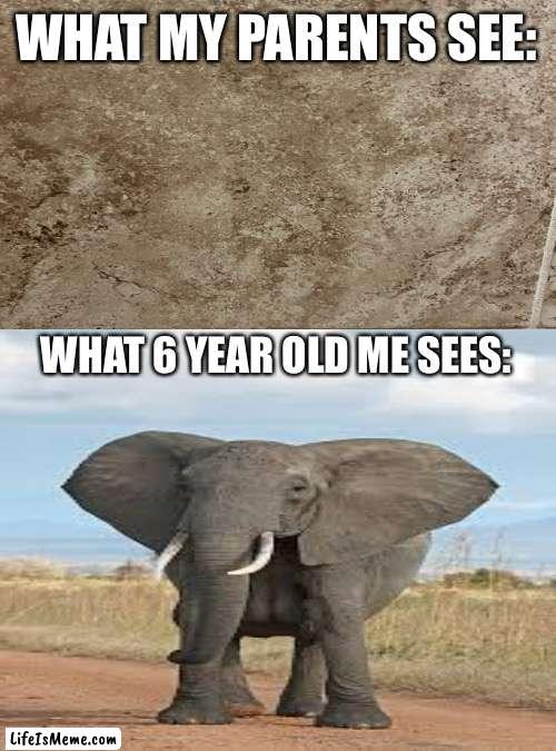 Ok I lied. I’m 14 and still see it |  WHAT MY PARENTS SEE:; WHAT 6 YEAR OLD ME SEES: | image tagged in white background,blank white template | made w/ Lifeismeme meme maker