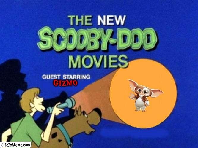 scooby doo meets gizmo from gremlins |  GIZMO | image tagged in scooby doo meets,gizmo,warner bros,crossover | made w/ Lifeismeme meme maker