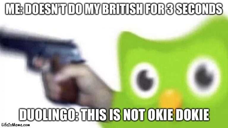 duolingo gun |  ME: DOESN’T DO MY BRITISH FOR 3 SECONDS; DUOLINGO: THIS IS NOT OKIE DOKIE | image tagged in duolingo gun | made w/ Lifeismeme meme maker