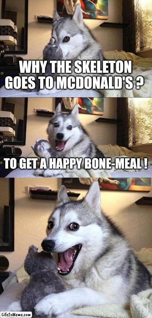 Bad spooky pun |  WHY THE SKELETON GOES TO MCDONALD'S ? TO GET A HAPPY BONE-MEAL ! | image tagged in memes,bad pun dog,spooky month,skeleton,spooky,bad pun | made w/ Lifeismeme meme maker