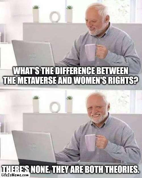 Offensive joke. |  WHAT'S THE DIFFERENCE BETWEEN THE METAVERSE AND WOMEN'S RIGHTS? THERE'S NONE. THEY ARE BOTH THEORIES. | image tagged in memes,hide the pain harold | made w/ Lifeismeme meme maker