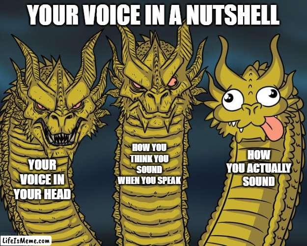 free epic Casein |  YOUR VOICE IN A NUTSHELL; HOW YOU THINK YOU SOUND WHEN YOU SPEAK; HOW YOU ACTUALLY SOUND; YOUR VOICE IN YOUR HEAD | image tagged in three-headed dragon | made w/ Lifeismeme meme maker