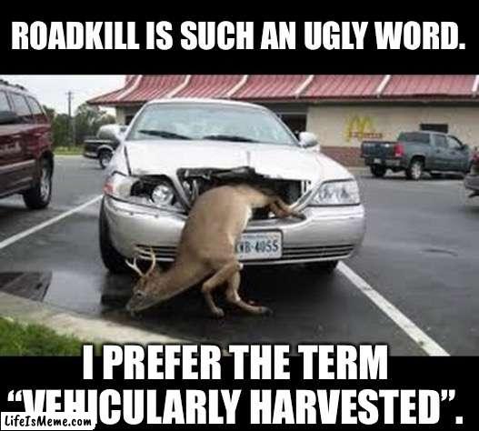 Oh Deer! |  ROADKILL IS SUCH AN UGLY WORD. I PREFER THE TERM “VEHICULARLY HARVESTED”. | image tagged in oh dear | made w/ Lifeismeme meme maker