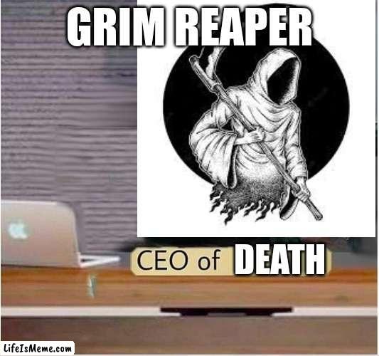 grim reaper |  GRIM REAPER; DEATH | image tagged in grim reaper | made w/ Lifeismeme meme maker